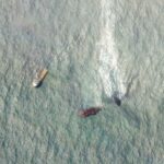 Satellite images show a huge oil slick flowing from part of the damaged ship