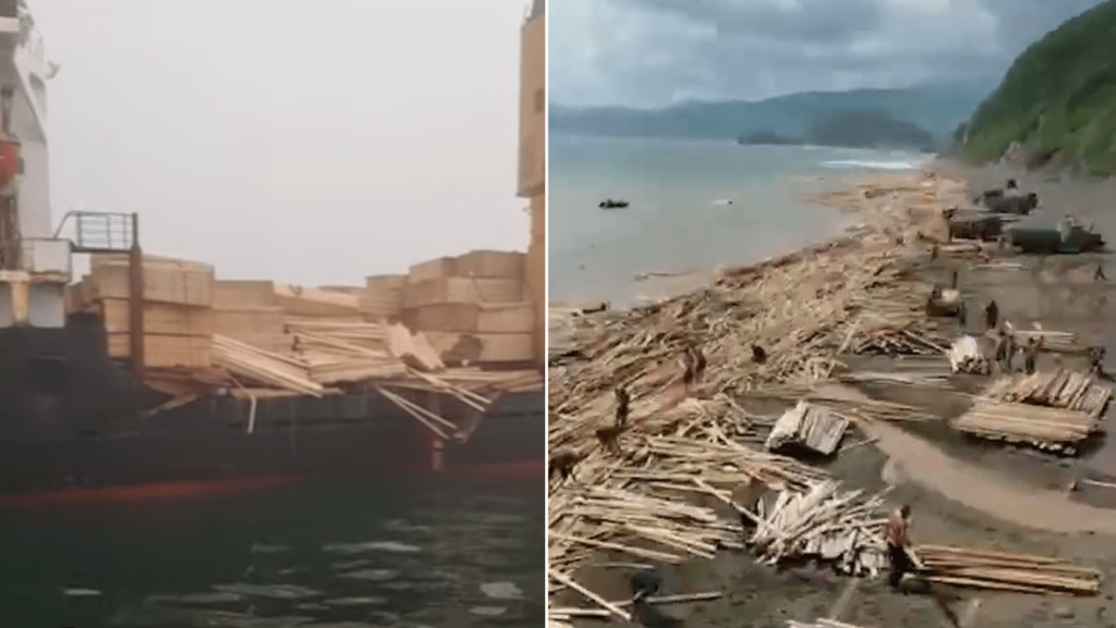 Video: After The Deck Cargo Lost From Ship, Beach Washed Up With Tons Of Wood