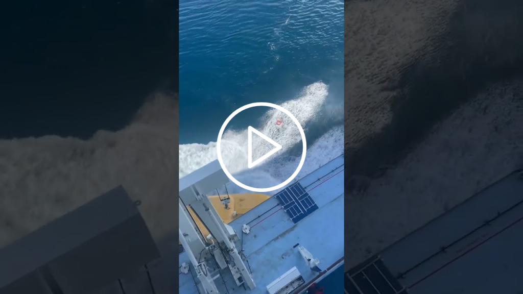 Lifeboat Accident of Quantum of the Seas Caught on Camera