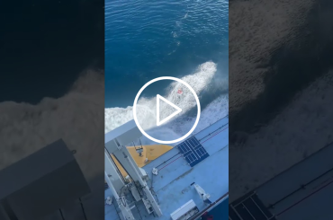 Lifeboat Mishap on Royal Caribbean Cruise Ship
